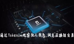 如何通过Tokenim观察他人钱包，洞悉区块链交易动