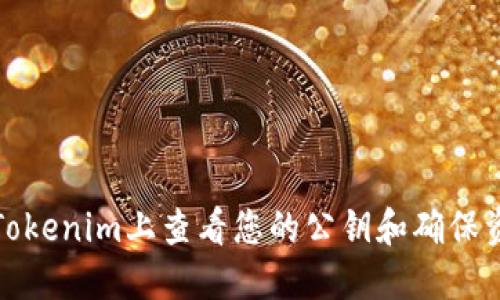 如何在Tokenim上查看您的公钥和确保资产安全