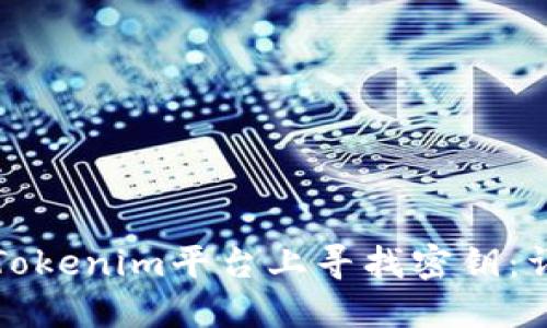如何在Tokenim平台上寻找密钥：详尽指南