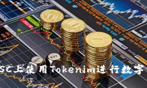如何在BSC上使用Tokenim进行数字资产管理