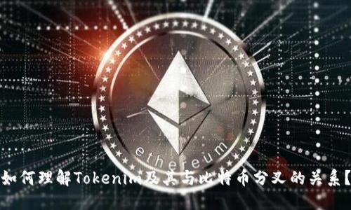 如何理解Tokenim及其与比特币分叉的关系？