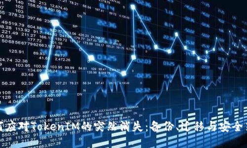 如何应对TokenIM的突然消失：备份、迁移与安全策略
