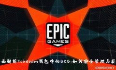 全面解析Tokenim钱包中的BCB：如何安全管理与获取