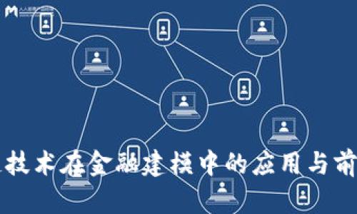 区块链技术在金融建模中的应用与前景分析