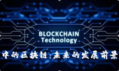 金融业中的区块链：未来的发展前景与挑战