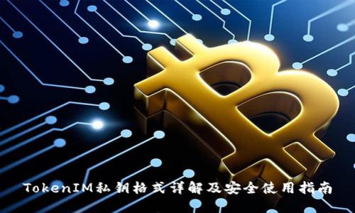 TokenIM私钥格式详解及安全使用指南