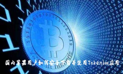 国内苹果用户如何安全下载并使用Tokenim应用