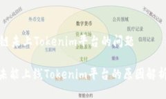 关于芯链未上Tokenim平台的问题: 芯链未能上线T