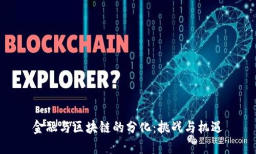 金融与区块链的分化：挑战与机遇