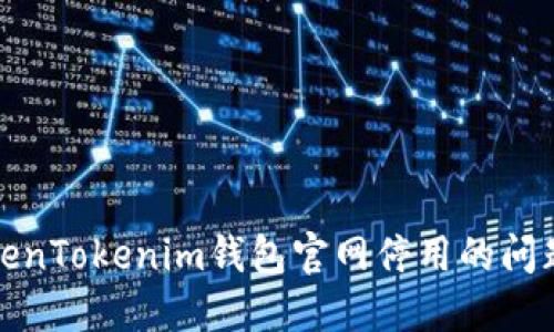 如何应对TokenTokenim钱包官网停用的问题及替代方案