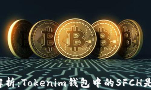 
深入解析：Tokenim钱包中的SFCH是什么？