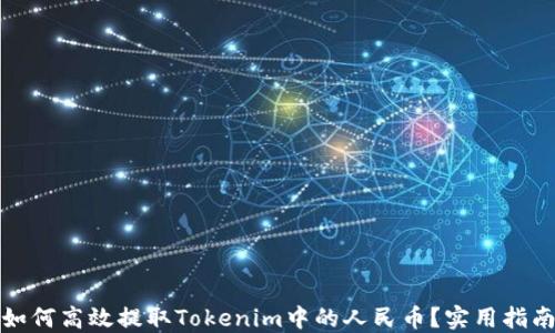 
如何高效提取Tokenim中的人民币？实用指南