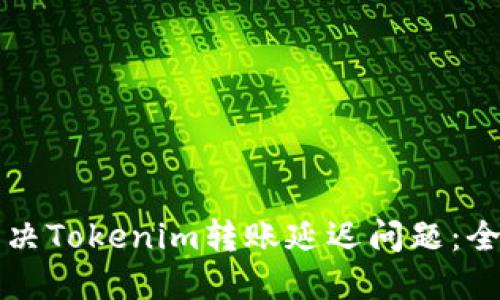 如何解决Tokenim转账延迟问题：全面指南
