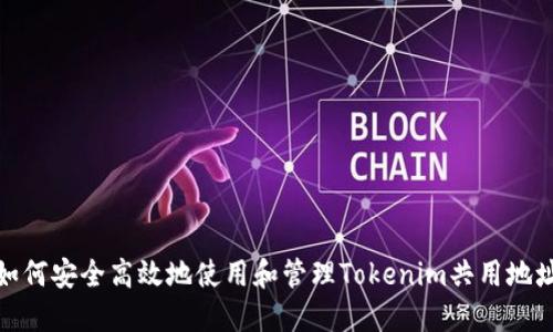 如何安全高效地使用和管理Tokenim共用地址