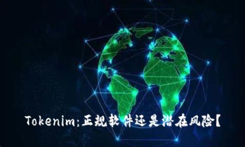 Tokenim：正规软件还是潜在风险？