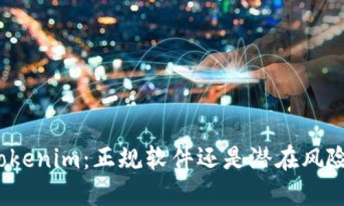Tokenim：正规软件还是潜在风险？