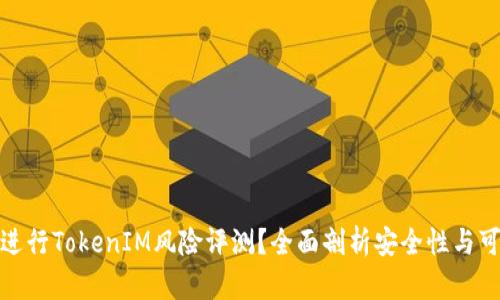 如何进行TokenIM风险评测？全面剖析安全性与可行性
