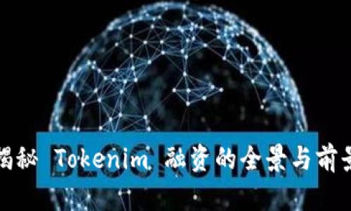 揭秘 Tokenim 融资的全景与前景
