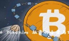 揭秘 Tokenim 融资的全景与前景