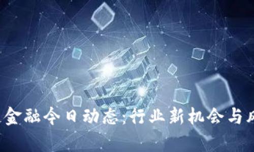  区块链金融今日动态：行业新机会与风险解析
