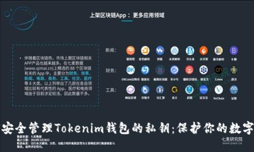 如何安全管理Tokenim钱包的私钥：保护你的数字资产