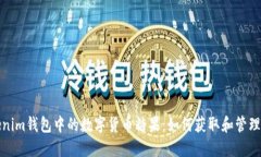 探索Tokenim钱包中的数字货币糖果：如何获取和管