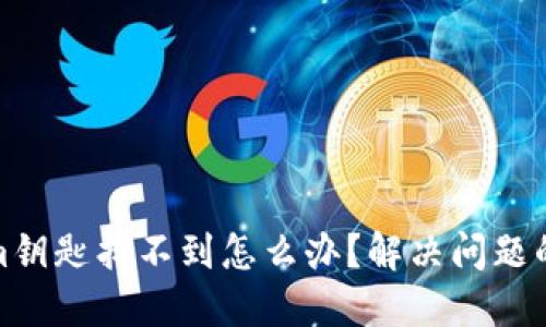 : Tokenim钥匙找不到怎么办？解决问题的终极指南