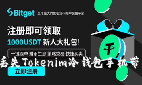 如何应对丢失Tokenim冷钱包手机带来的风险？