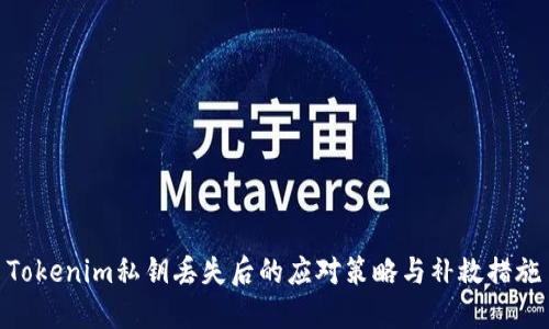 Tokenim私钥丢失后的应对策略与补救措施