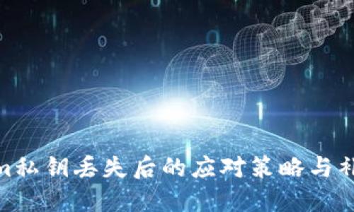 Tokenim私钥丢失后的应对策略与补救措施