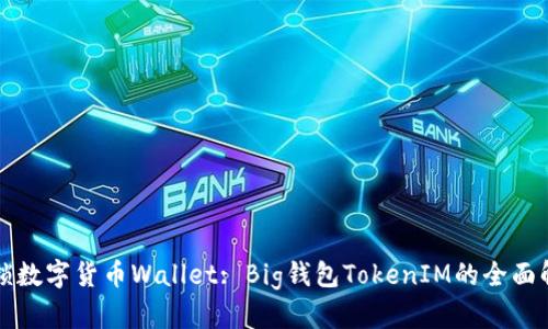 解锁数字货币Wallet: Big钱包TokenIM的全面解析