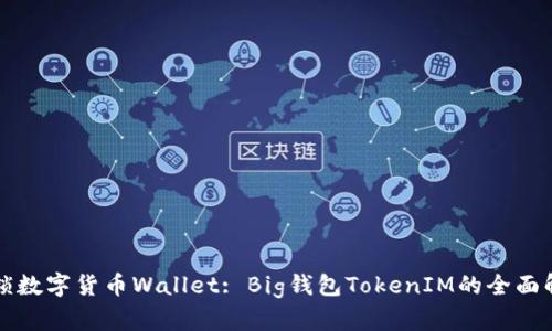 解锁数字货币Wallet: Big钱包TokenIM的全面解析