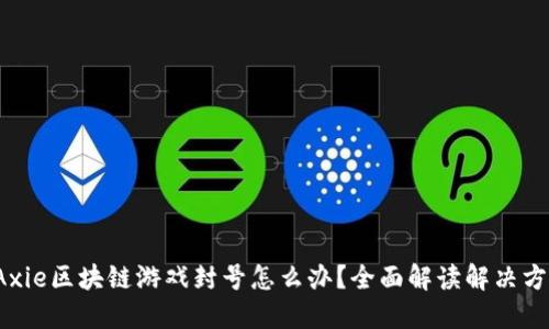  Axie区块链游戏封号怎么办？全面解读解决方案