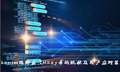 Tokenim跑路后，IMKey币的现状及用户应对策略