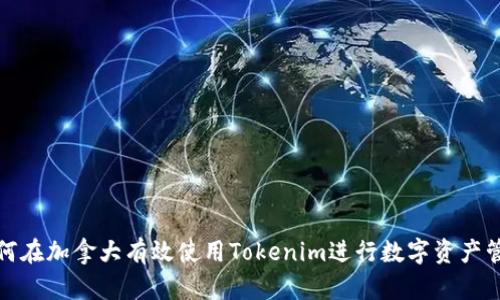 如何在加拿大有效使用Tokenim进行数字资产管理