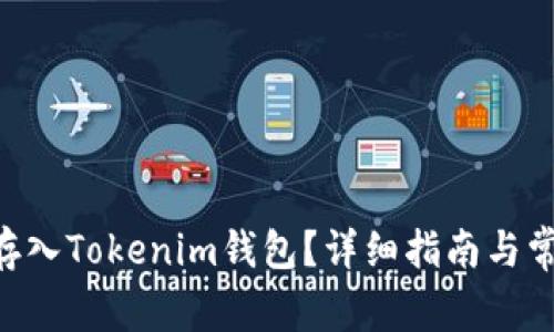 如何将NFT存入Tokenim钱包？详细指南与常见问题解答