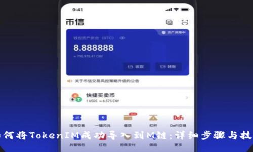 如何将TokenIM成功导入到M链：详细步骤与技巧