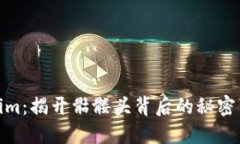 Tokenim：揭开骷髅头背后的秘密与价值