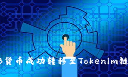 如何将SHIB货币成功转移至Tokenim链的详细指南