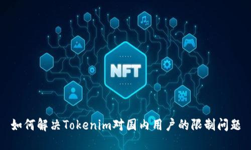 如何解决Tokenim对国内用户的限制问题