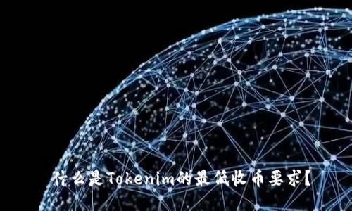  什么是Tokenim的最低收币要求？