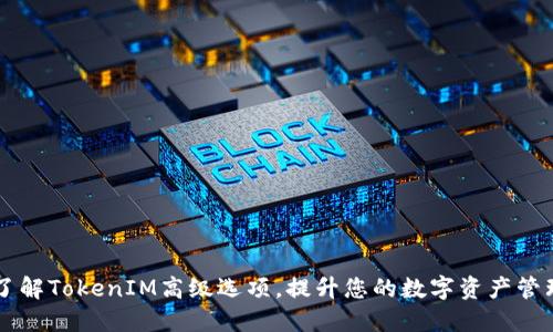 深入了解TokenIM高级选项，提升您的数字资产管理能力
