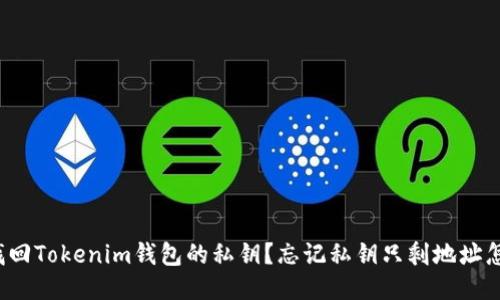 如何找回Tokenim钱包的私钥？忘记私钥只剩地址怎么办？