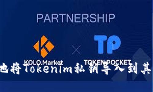 如何安全地将Tokenim私钥导入到其他钱包中？