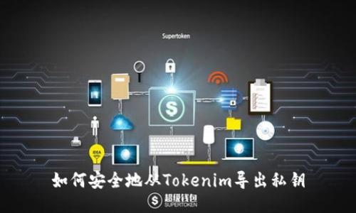 如何安全地从Tokenim导出私钥