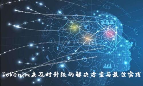 Tokenim未及时升级的解决方案与最佳实践