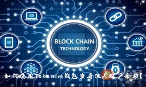 如何使用Tokenim钱包查看他人账户余额？