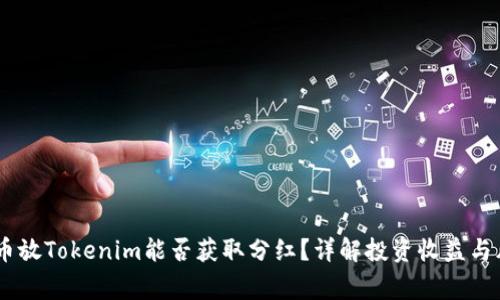 Pig币放Tokenim能否获取分红？详解投资收益与风险