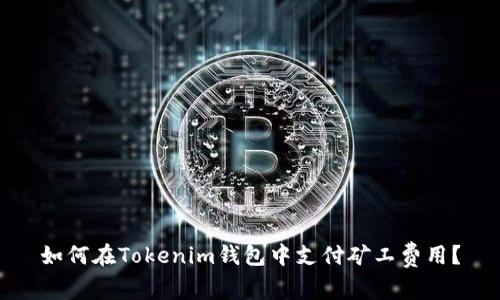 如何在Tokenim钱包中支付矿工费用？