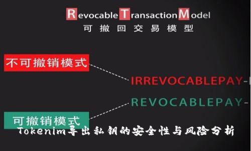 Tokenim导出私钥的安全性与风险分析